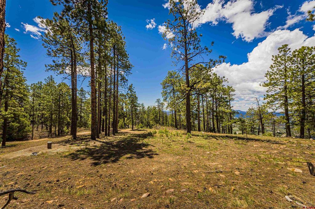 Tbd Durango Cliffs Drive Property Photo 10