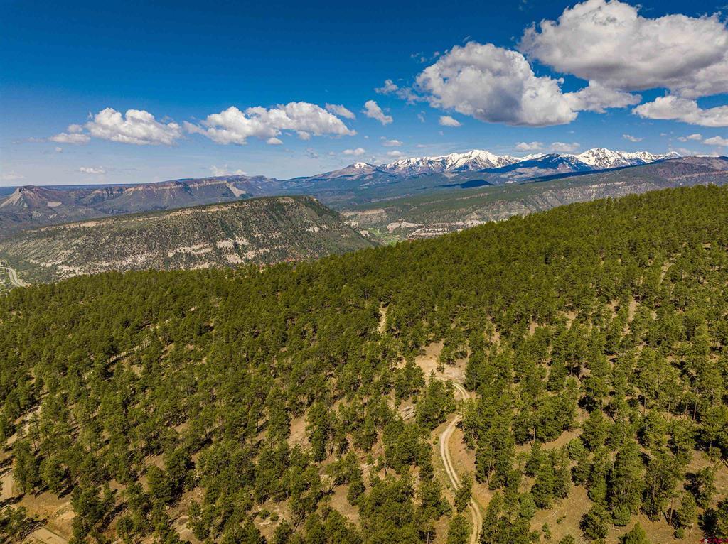 Tbd Durango Cliffs Drive Property Photo 13