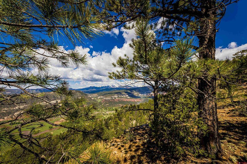 Tbd Durango Cliffs Drive Property Photo 18