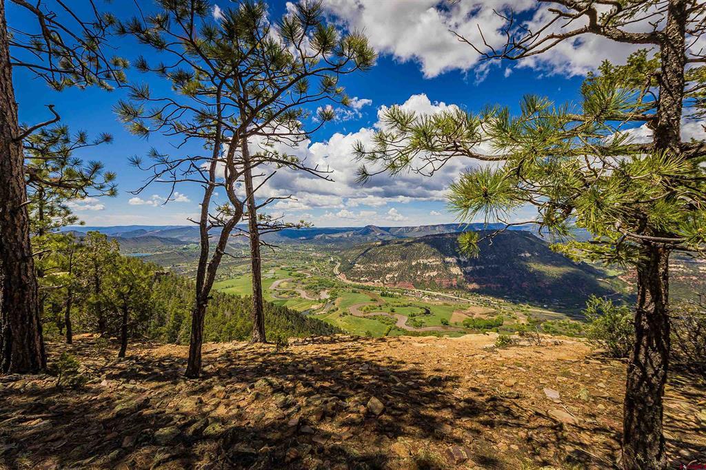 Tbd Durango Cliffs Drive Property Photo 21