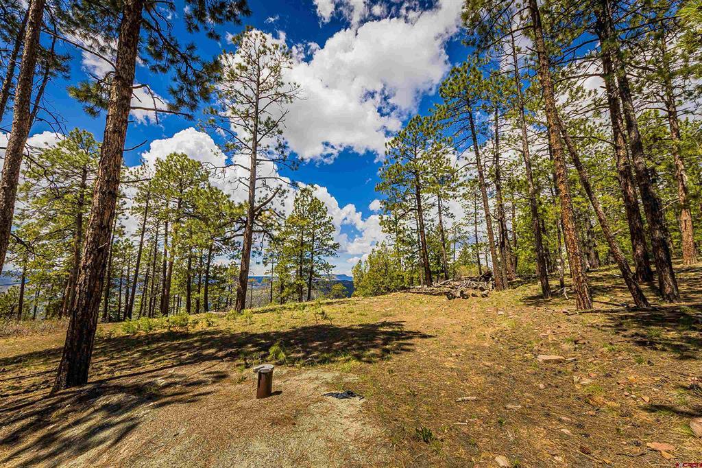 Tbd Durango Cliffs Drive Property Photo 25