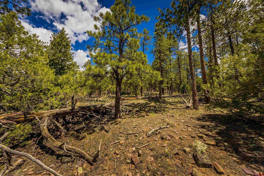 Tbd Durango Cliffs Drive Property Photo 26