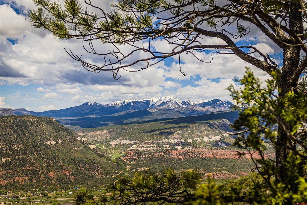 Tbd Durango Cliffs Drive Property Photo 29