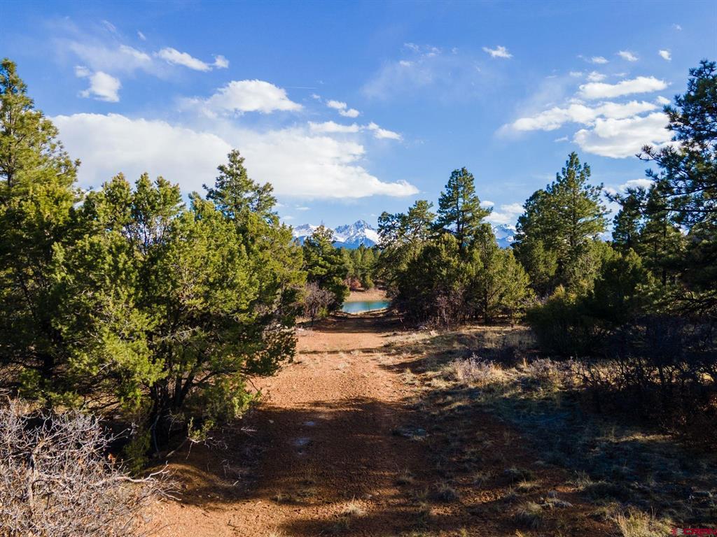 Lot 555 N Badger Trail Property Photo 1