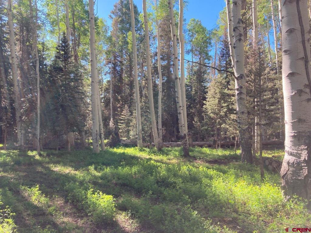 191 Aspen Trail Property Photo