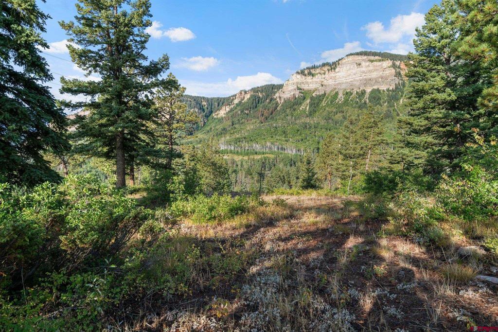367 Two Dogs Trail Property Photo