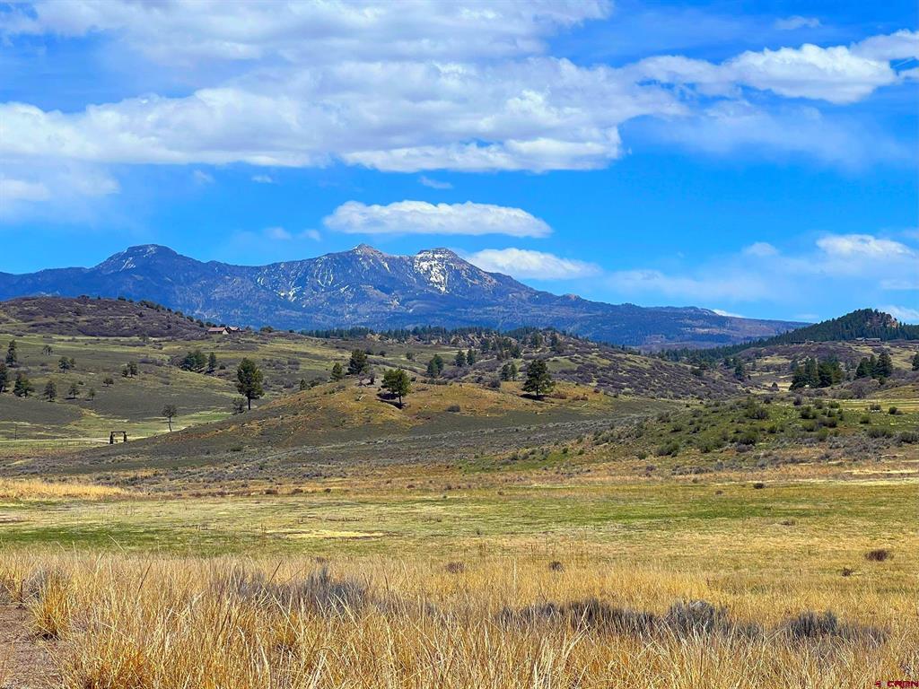 223 Spring Valley Ranch Road