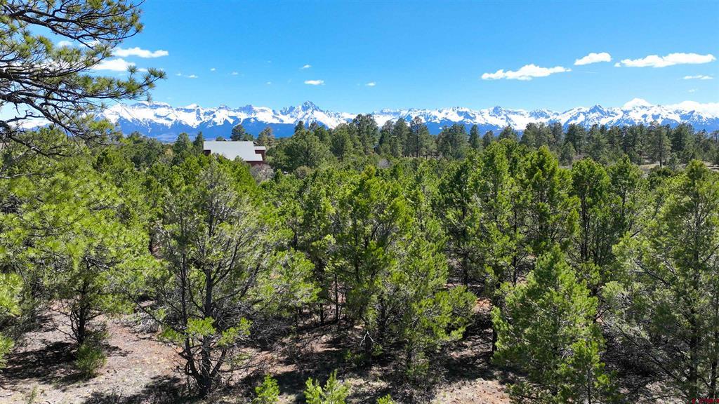 Tbd Canyon Drive Property Photo 6