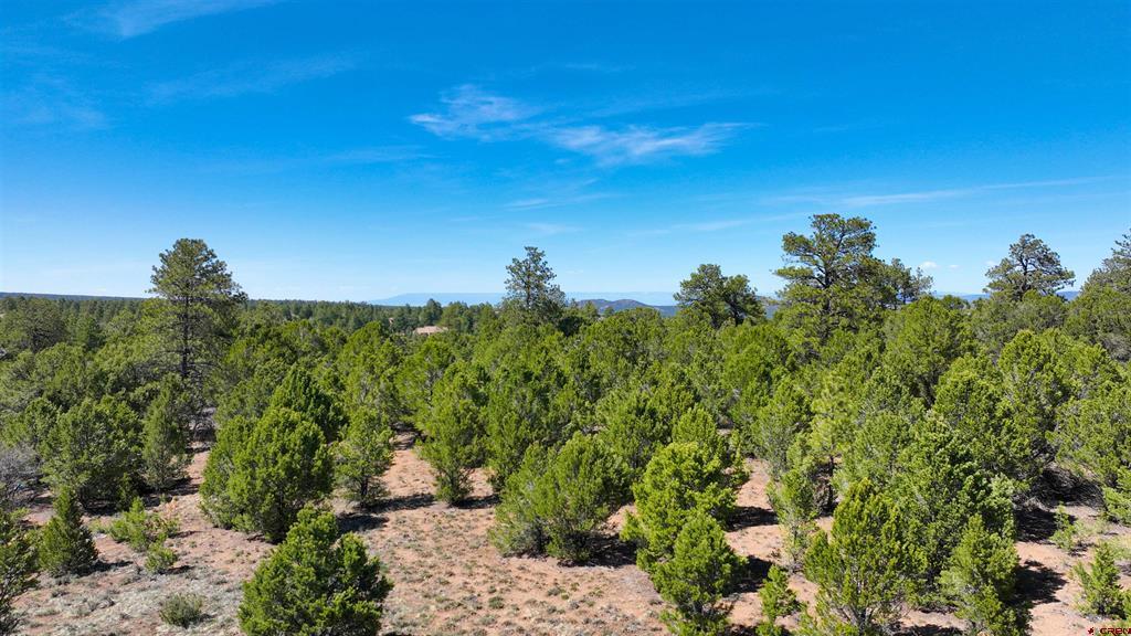 Tbd Canyon Drive Property Photo 8