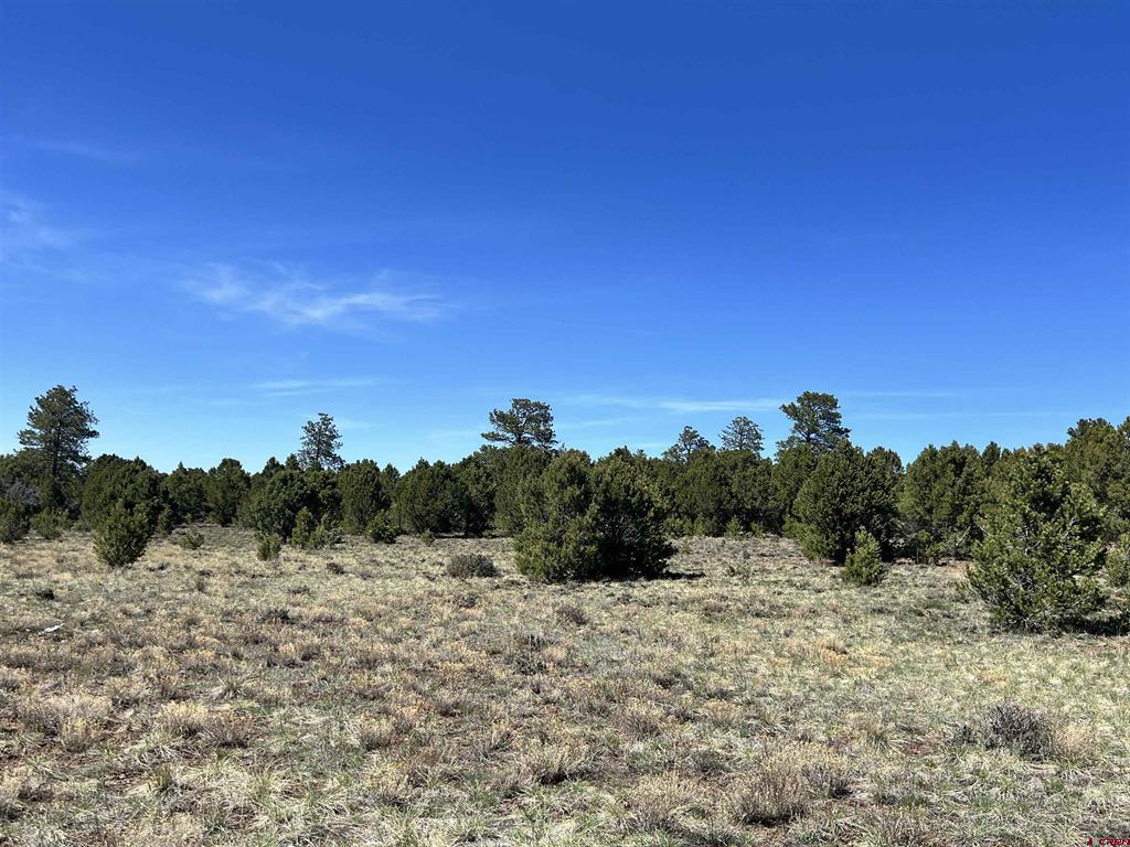 Tbd Canyon Drive Property Photo 9