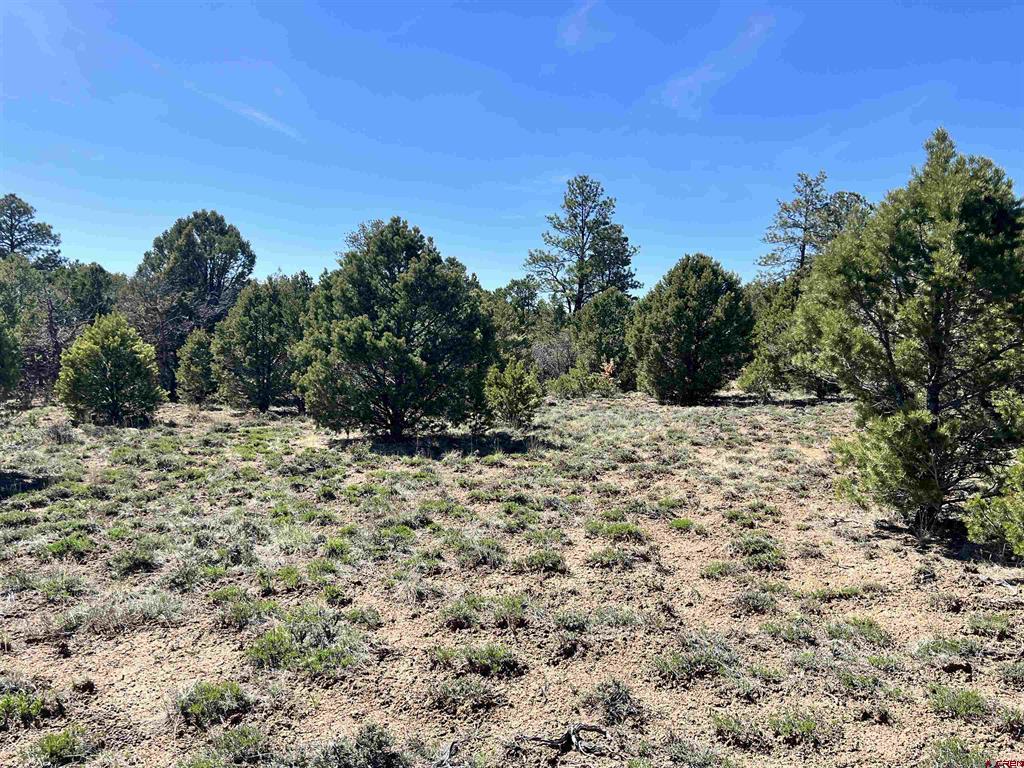 Tbd Canyon Drive Property Photo 15