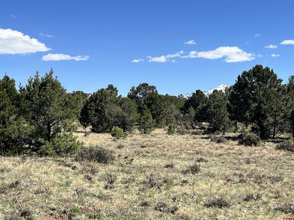 Tbd Canyon Drive Property Photo 16
