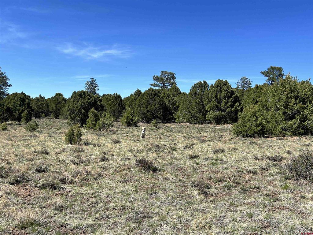 Tbd Canyon Drive Property Photo 17
