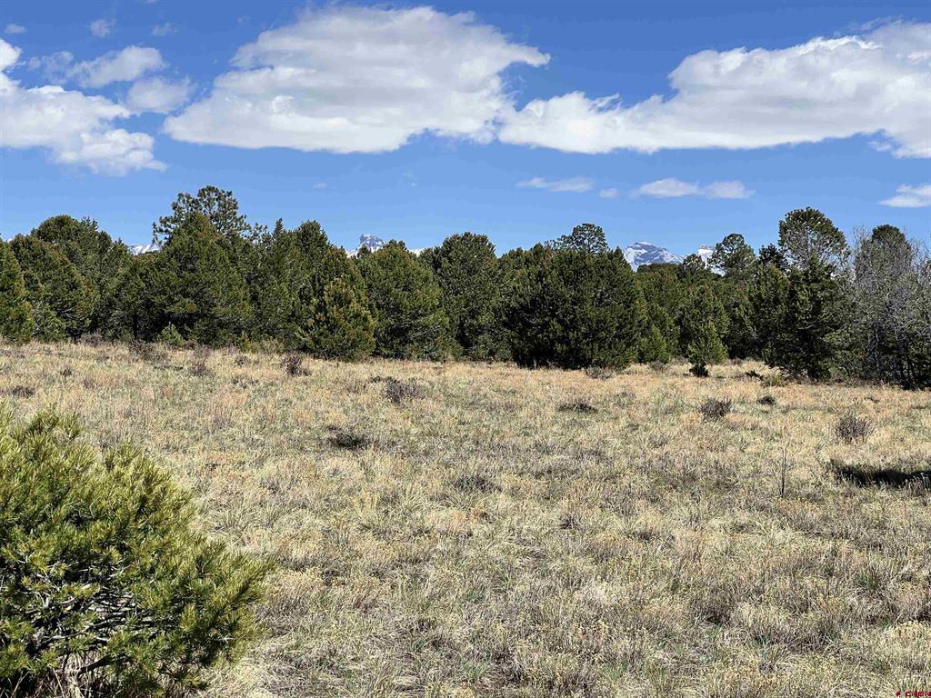 Tbd Canyon Drive Property Photo 18