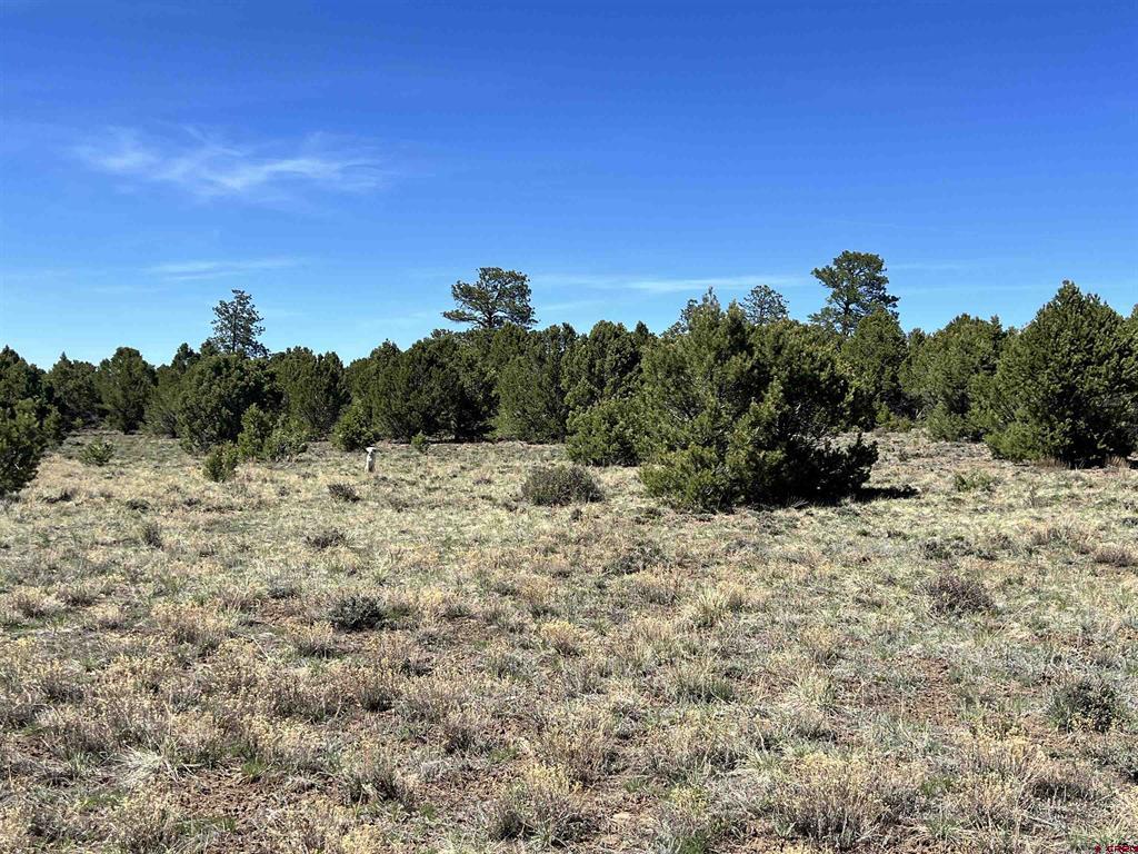 Tbd Canyon Drive Property Photo 19