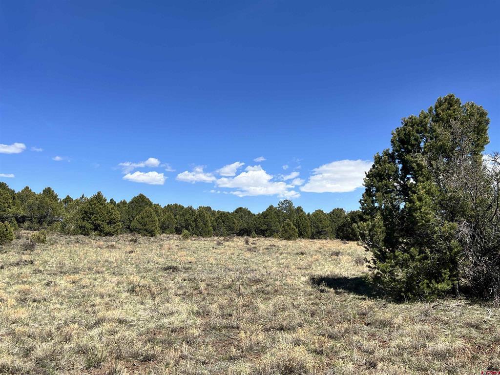 Tbd Canyon Drive Property Photo 20