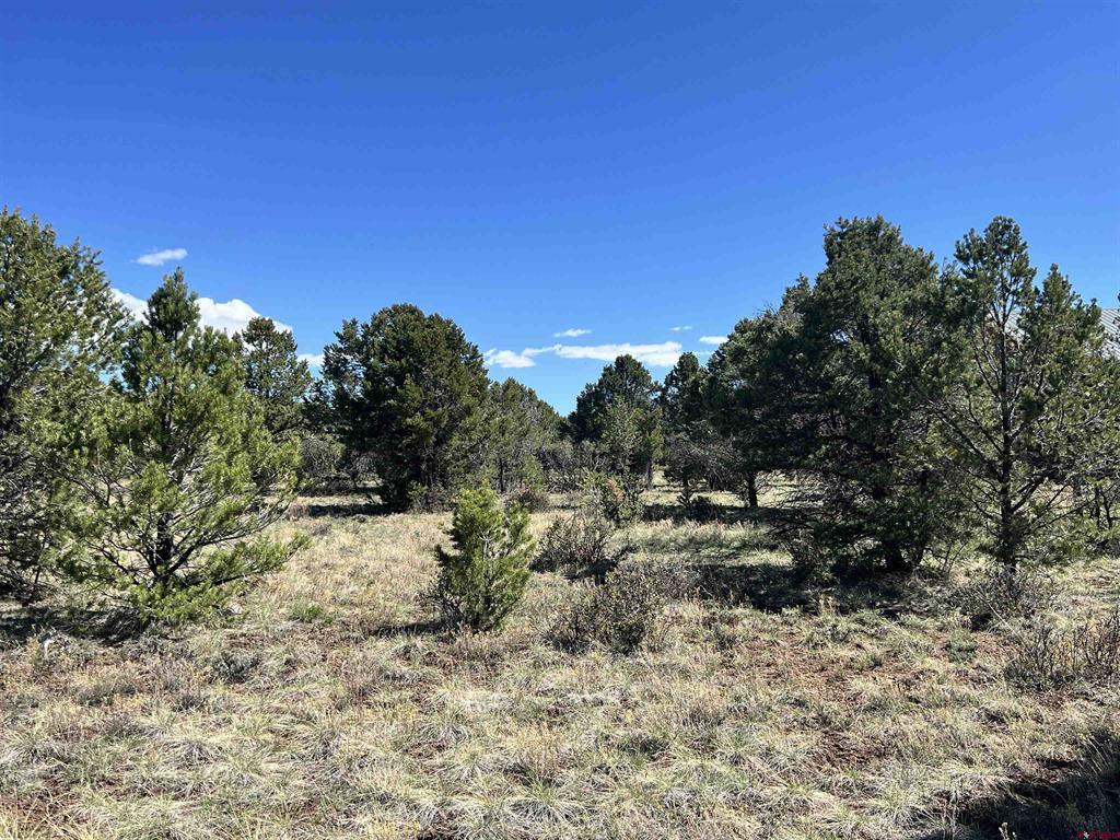 Tbd Canyon Drive Property Photo 21