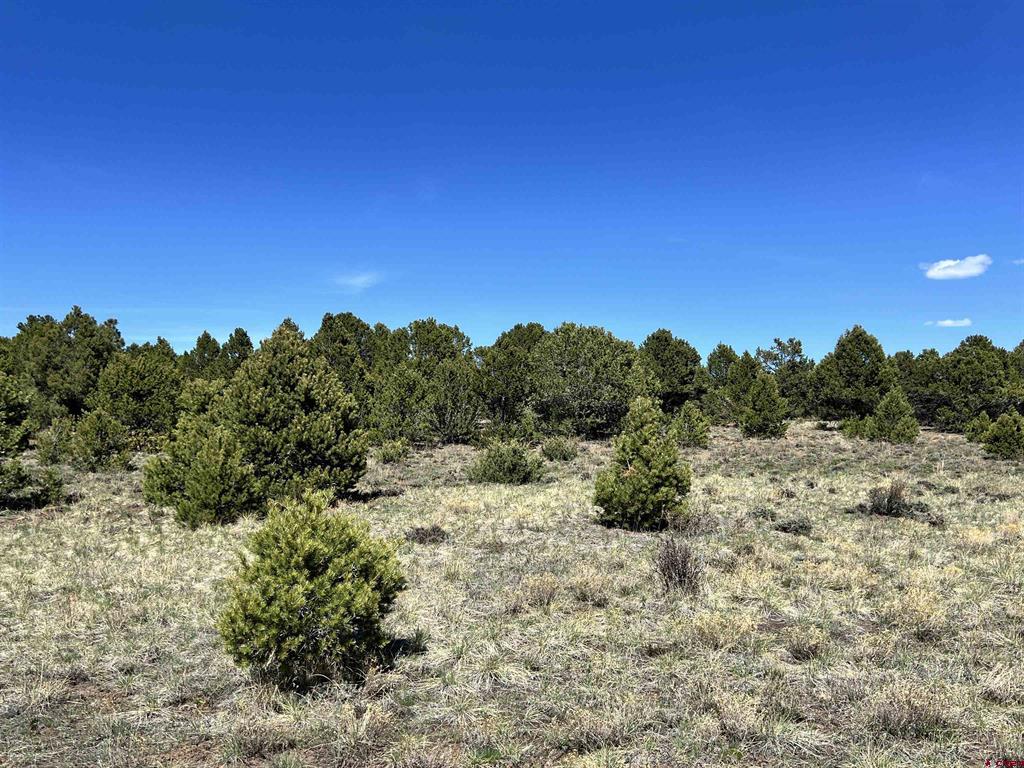 Tbd Canyon Drive Property Photo 22