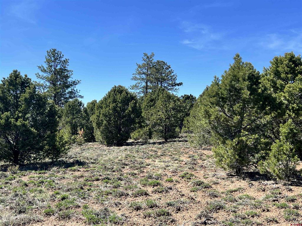 Tbd Canyon Drive Property Photo 25