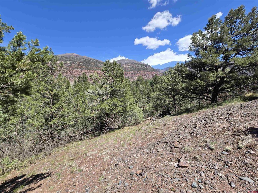 238 Pine Ridge Property Photo 1