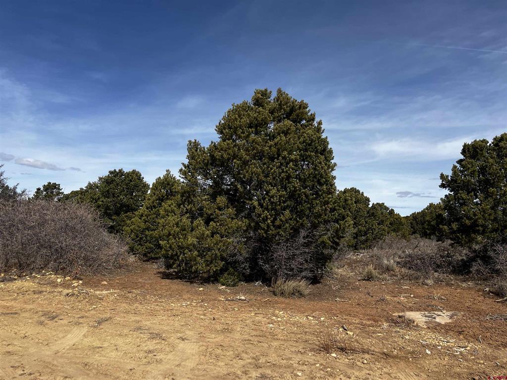 Lot 1 Road J.7 Property Photo