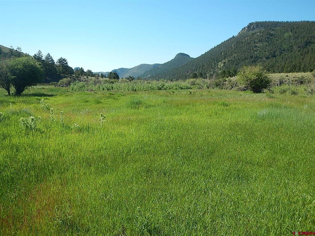 Lot 20 Scenic Mountain Estates Property Photo 6