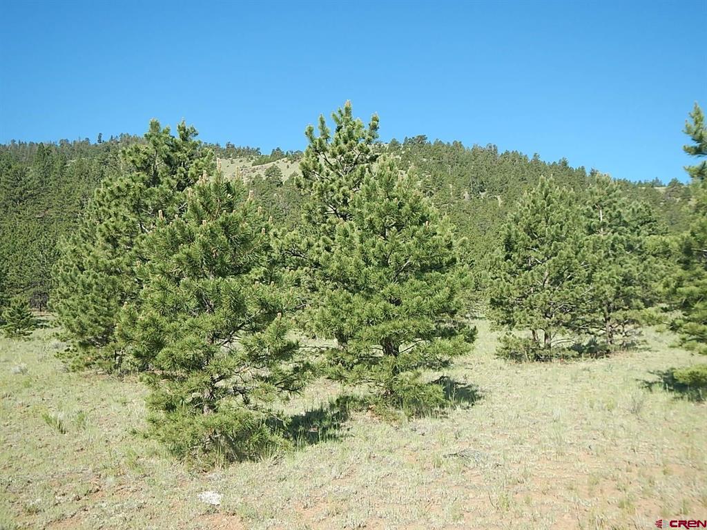 Lot 20 Scenic Mountain Estates Property Photo 7