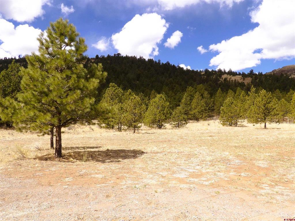 Lot 20 Scenic Mountain Estates Property Photo 33