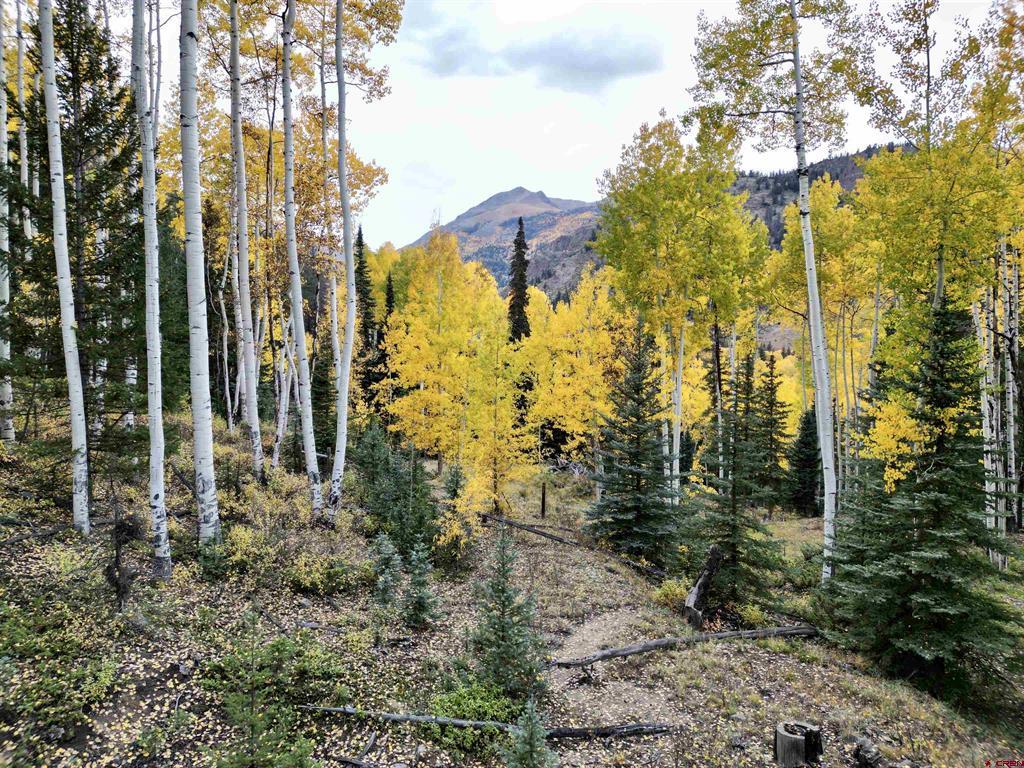 6 Alpine Vista Court Property Photo