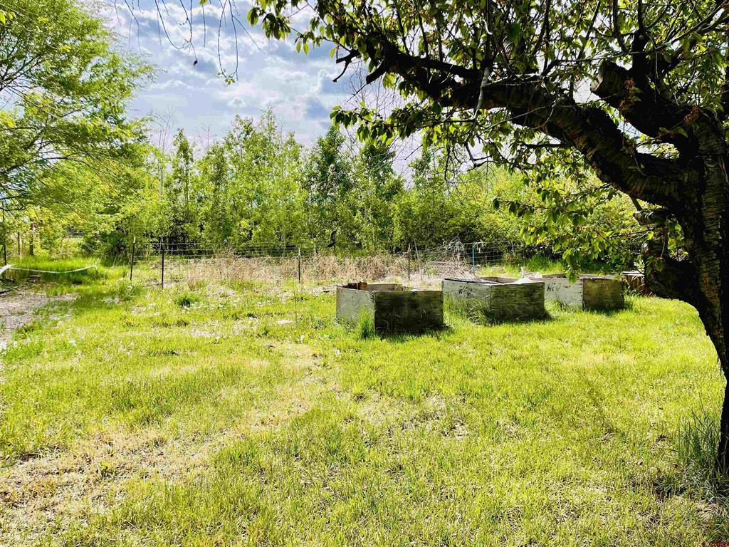35210 Hanson Mesa Road Property Photo 27