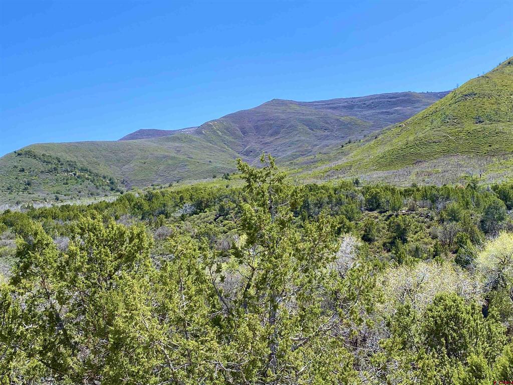 Tbd County Road 306 Property Photo 1