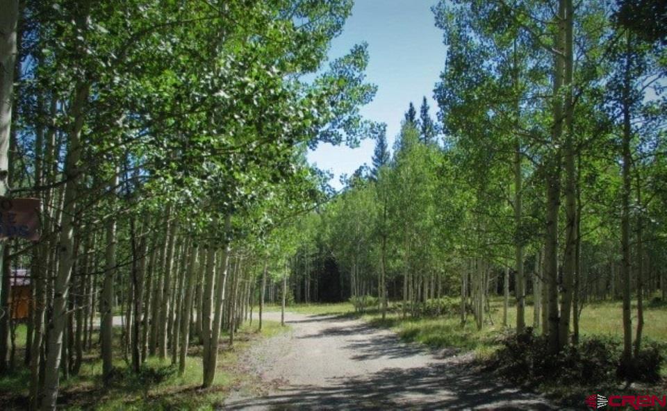 202 Hazel Lake Drive Property Photo