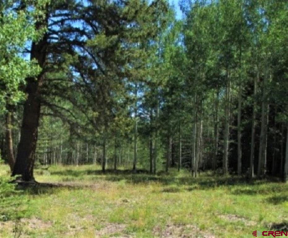 202 Hazel Lake Drive Property Photo 1