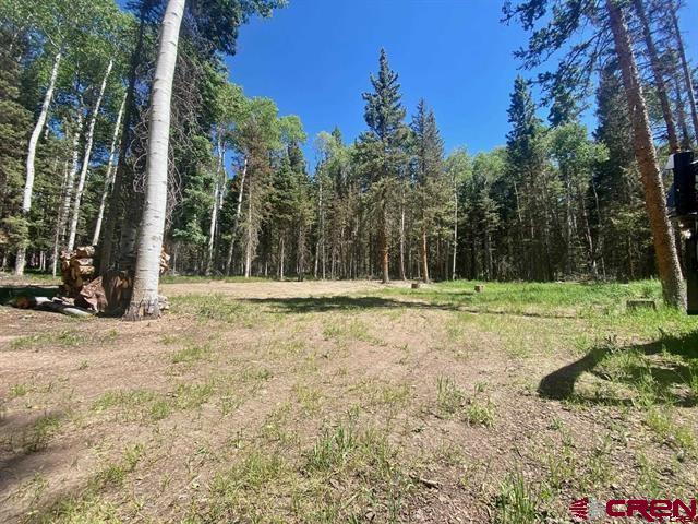 1772 Spruce Drive Property Photo 1