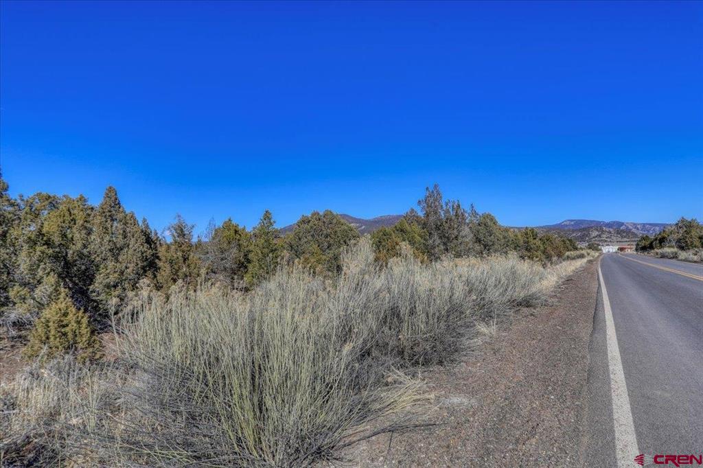 X Pine Property Photo 1