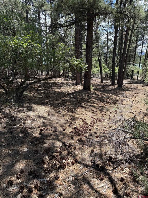 123 Granada Drive Property Photo 1