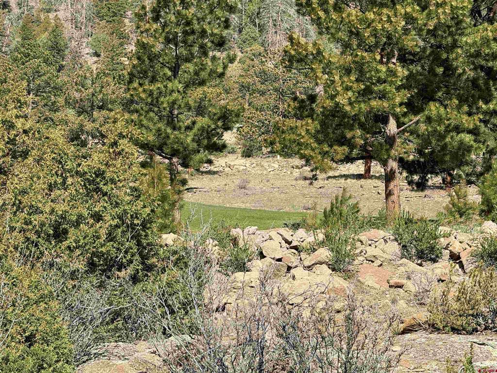 136 Hopi Court Property Photo