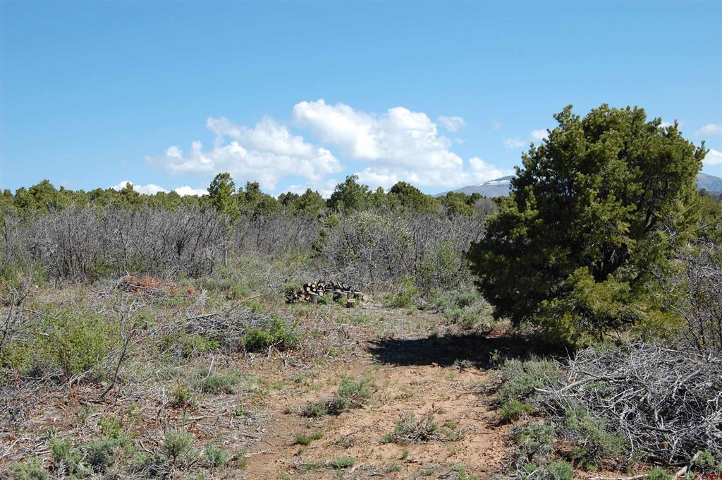 4195 De Oro Way Property Photo 3