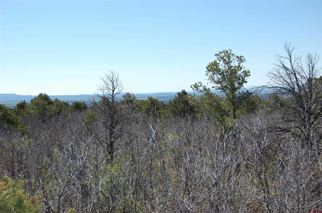 4195 De Oro Way Property Photo 5