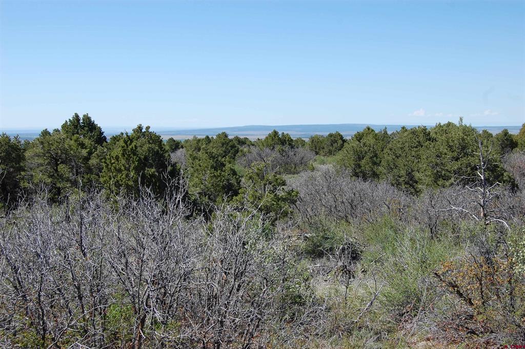 4195 De Oro Way Property Photo 7