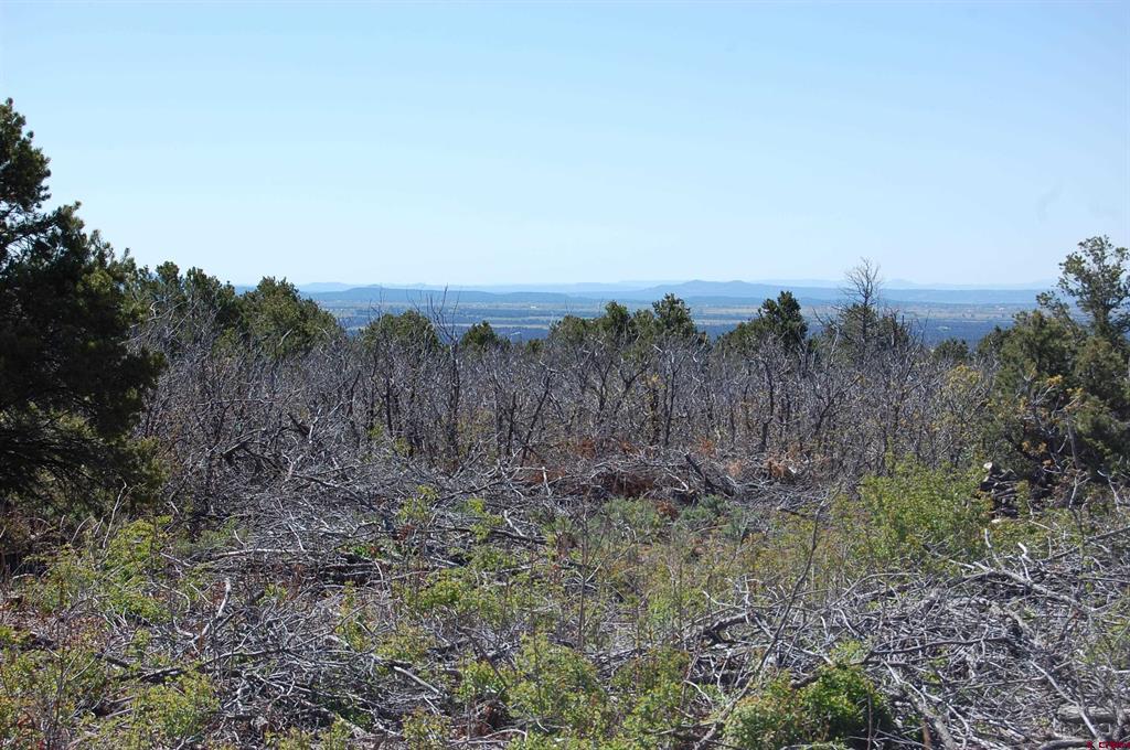 4195 De Oro Way Property Photo 13