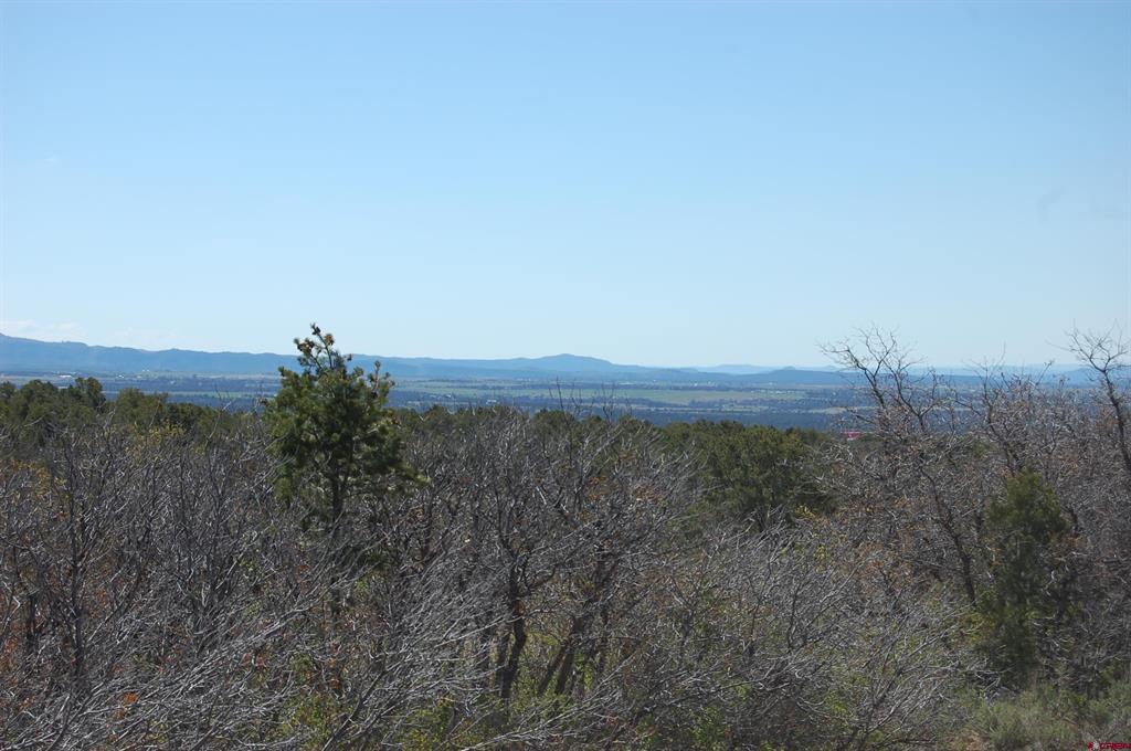 4195 De Oro Way Property Photo 15