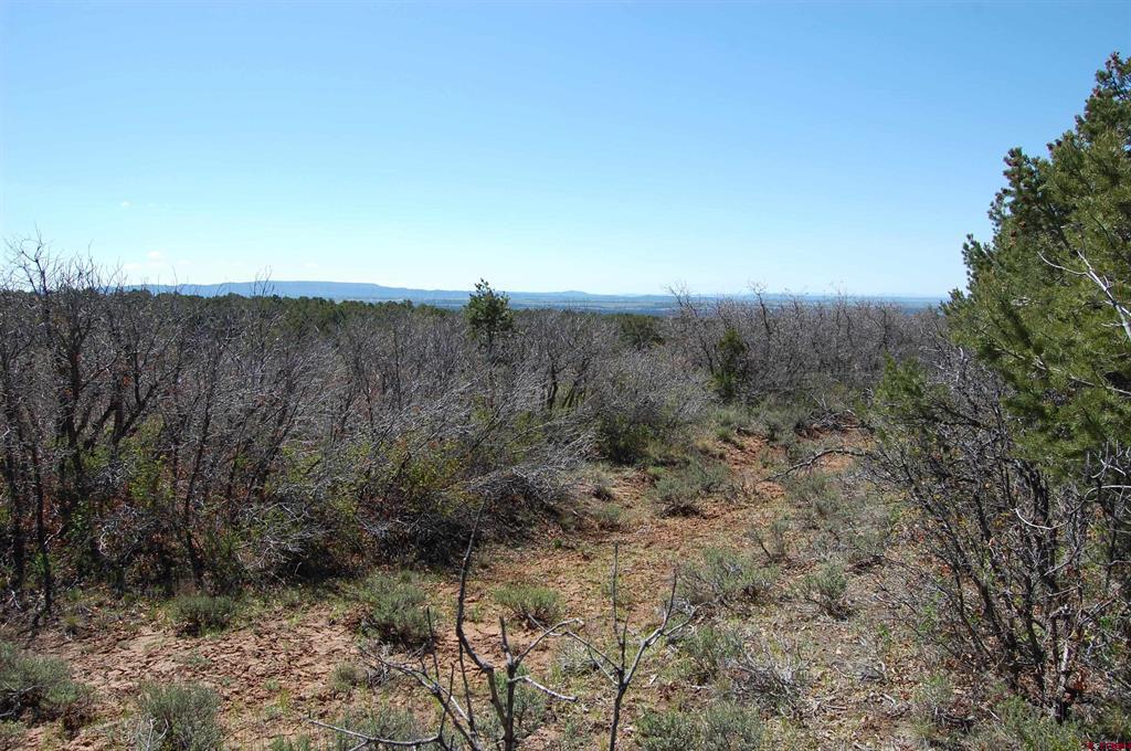 4195 De Oro Way Property Photo 16