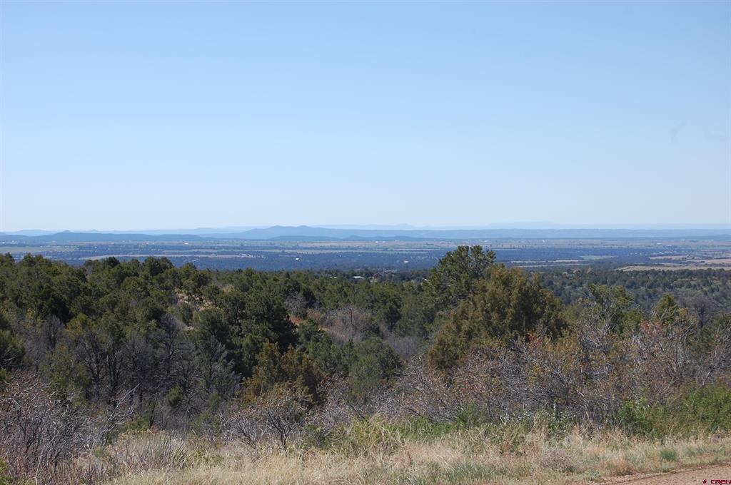 4195 De Oro Way Property Photo 18