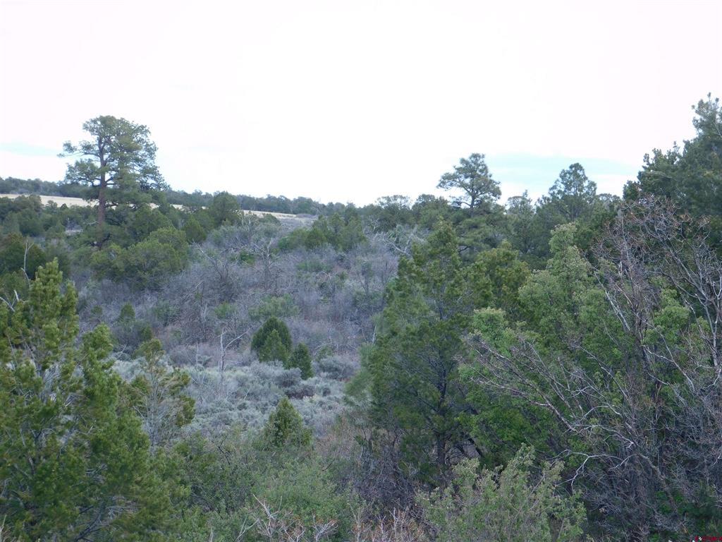 600 Road 8f Property Photo 23