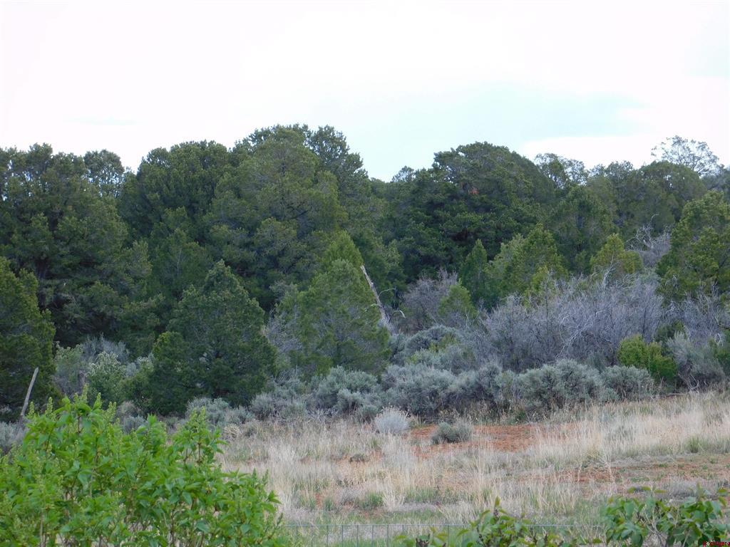600 Road 8f Property Photo 24