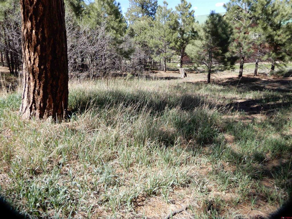 90 Knife Edge Place Property Photo 1