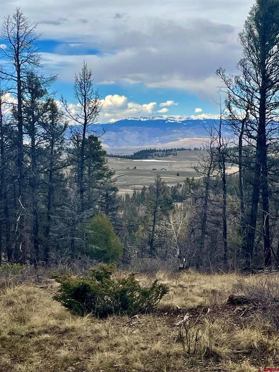 850 & 851 Kebler Trail Property Photo 4