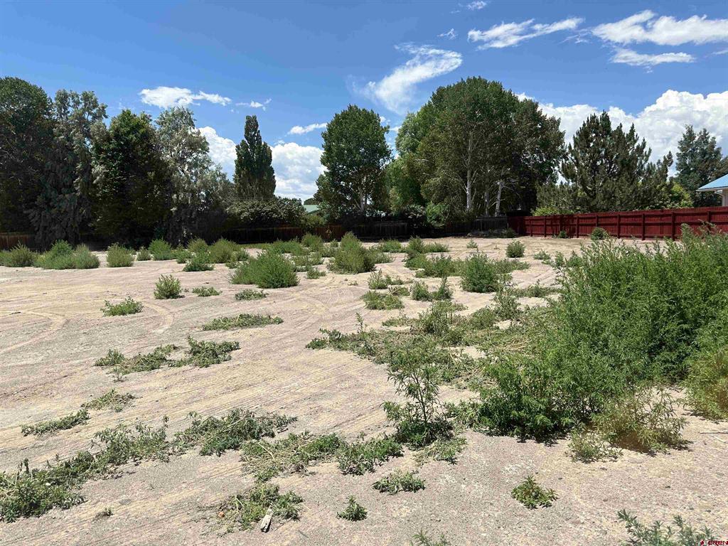 20 Meadow Lane Property Photo 31
