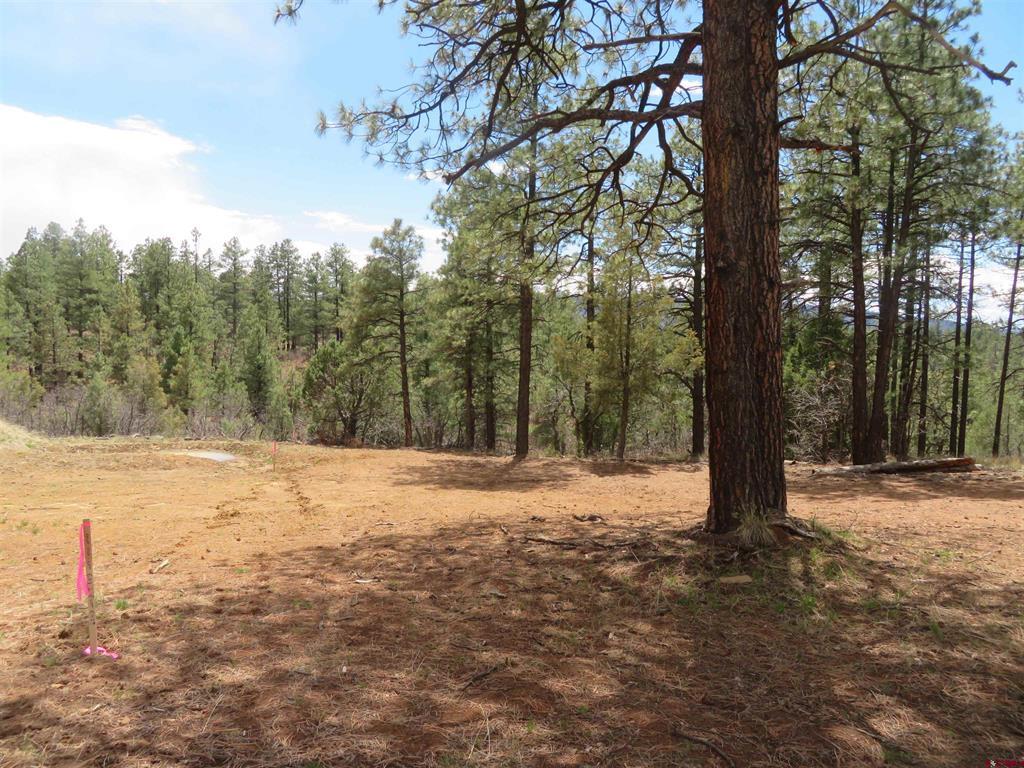 536 Doc Adams Road Property Photo 1